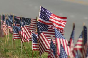 Row of USA Flags 2 (2)